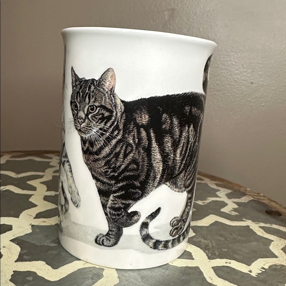 Cats Galore Mug Roy Kirkham England 2005 Fine Bone China 8oz Cup K.M. Hassall - Picture 2 of 6